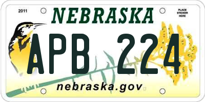 NE license plate APB224
