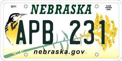 NE license plate APB231