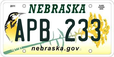 NE license plate APB233