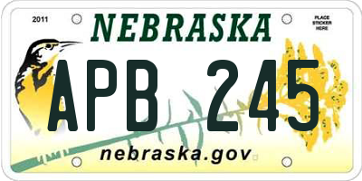 NE license plate APB245