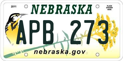 NE license plate APB273
