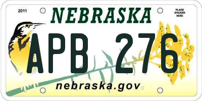 NE license plate APB276