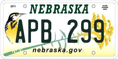 NE license plate APB299