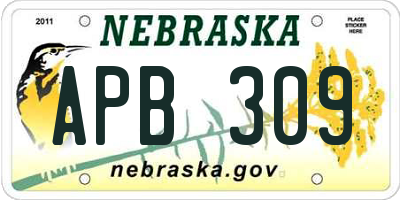 NE license plate APB309