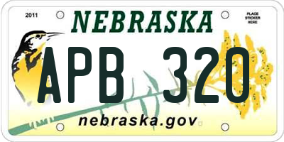NE license plate APB320