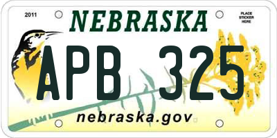 NE license plate APB325