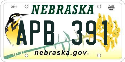 NE license plate APB391