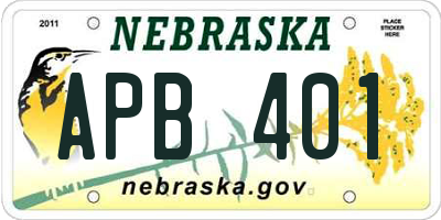 NE license plate APB401