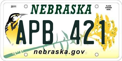 NE license plate APB421