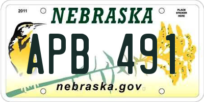 NE license plate APB491