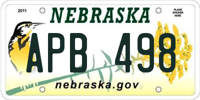 NE license plate APB498