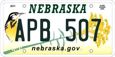 NE license plate APB507