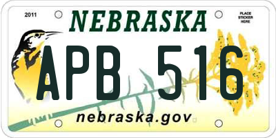 NE license plate APB516