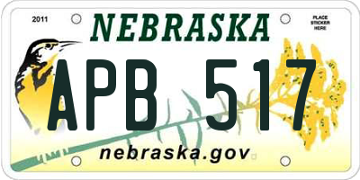NE license plate APB517