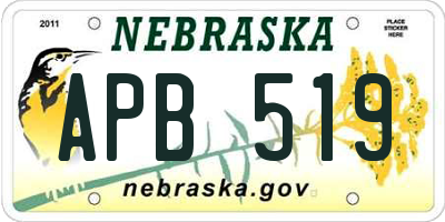 NE license plate APB519
