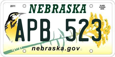 NE license plate APB523