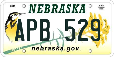 NE license plate APB529