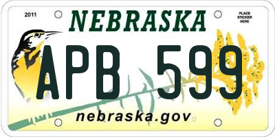 NE license plate APB599
