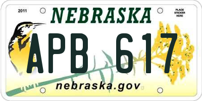 NE license plate APB617