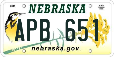 NE license plate APB651
