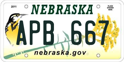 NE license plate APB667