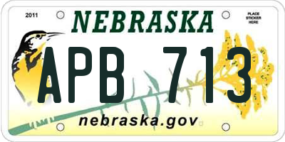NE license plate APB713
