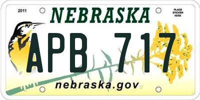 NE license plate APB717
