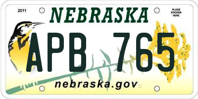 NE license plate APB765