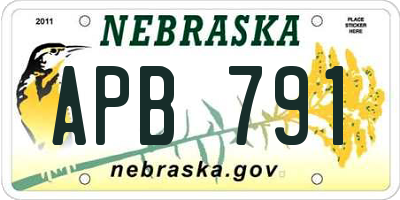NE license plate APB791