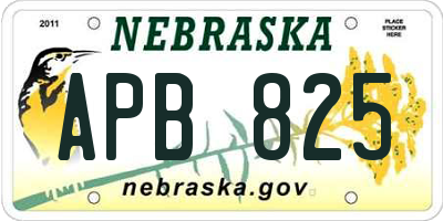 NE license plate APB825