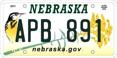 NE license plate APB891