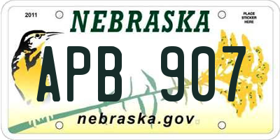 NE license plate APB907