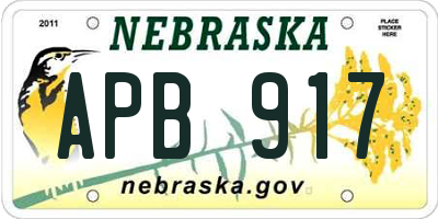 NE license plate APB917