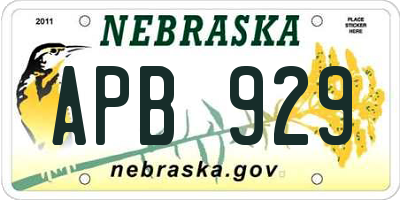 NE license plate APB929