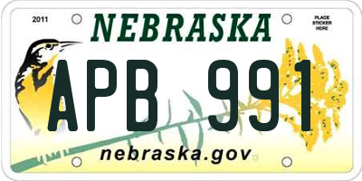 NE license plate APB991