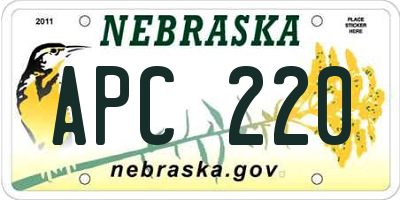 NE license plate APC220