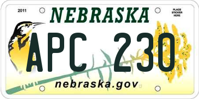 NE license plate APC230