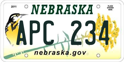 NE license plate APC234