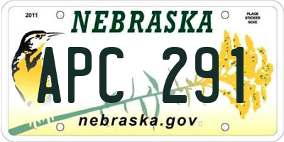 NE license plate APC291
