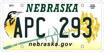 NE license plate APC293