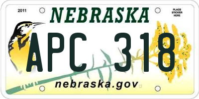 NE license plate APC318