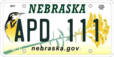 NE license plate APD111