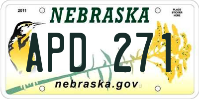 NE license plate APD271