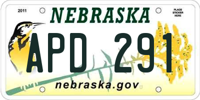 NE license plate APD291