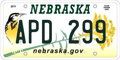 NE license plate APD299