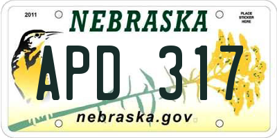 NE license plate APD317