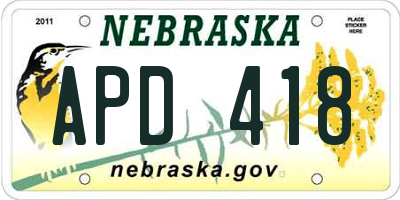 NE license plate APD418