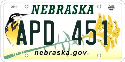 NE license plate APD451