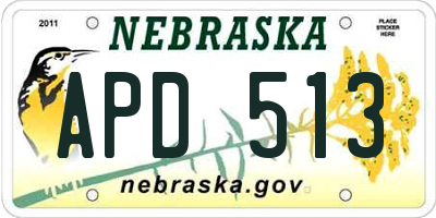 NE license plate APD513