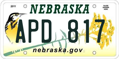 NE license plate APD817